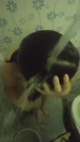 MayteJG's Colombian Beauty Shows Off Her Big Ass in a Bathroom Solo