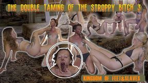 The double taming of the stroppy bitch 3 ( FULL HD MP4)