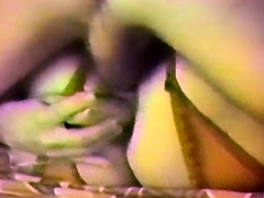 Vintage anal compilation from Homegrown Video