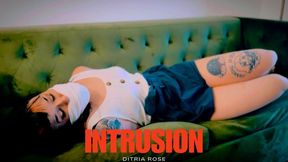 Intrusion - Ditria Rose