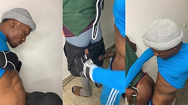 Ebony gym Bros breeding