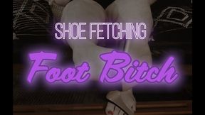 Shoe Fetching Foot Bitch