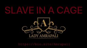 SLAVE IN A CAGE Total lenghts 2:52 minutes  Slave Bdsm Watching in Cage Sklave Käfig  LADY AMRAPALI  Herrin Mistress Domina