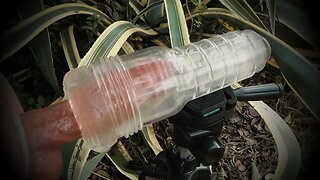 Cock Milking in the Garden