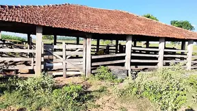 Farm Floozy Gets Screwed By Cowboy In Nasty Outdoor Sex