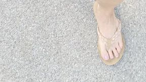 Tempest is flexing close to pond