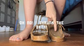 Oh no! I shrunk the beta!