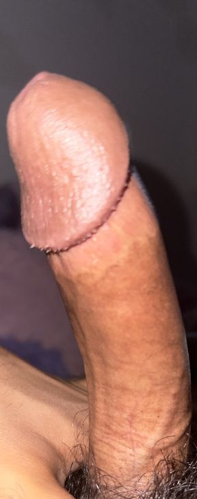 Pen inserted into semi-stiff cock, hardcore instructions