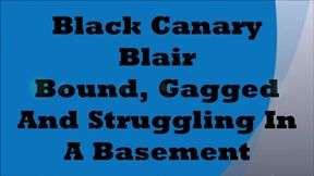 Black Canary Blair Bound, Gagged And Struggling In A Basement MP4