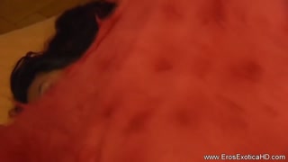 Explore The Female Pussy