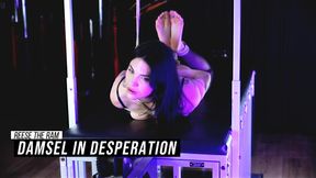 Damsel in Desperation