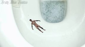 Giantess captured a tiny man for Toilet slavery and cleaning tasks