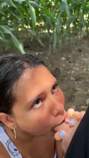 Caught blowjob in public