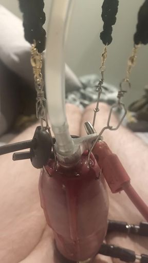 Cock torture