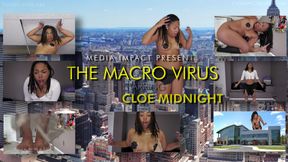 The Macro Virus