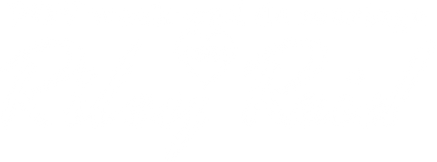 POV wedding weekend with Riley Reid