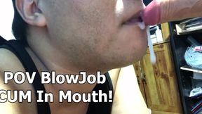 POV BlowJob CUM In Mouth!