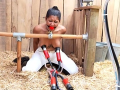 HuCows Calisa Bliss Curious FETiSH