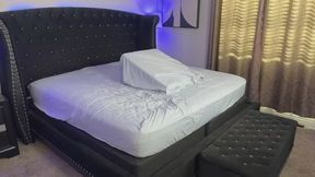 LIVE STREAM WITH JUNIPER WOOD