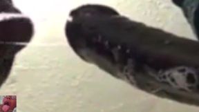 Best CIM Blowjob Ever