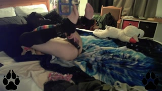 Caged Pup is Pent Up