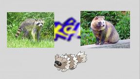 Puede Zigzagoon pasarse Pok&eacute_mon esmeralda?