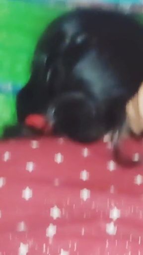 Desi Anal Sex with My Bhabhi, Painfull Ass Fucking Video