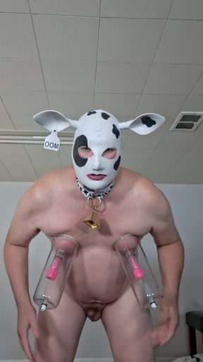 Pumping and stretching my nipples, kitties and pussy!