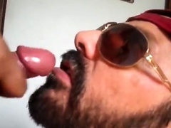 Bezerro carioca mamando os machos