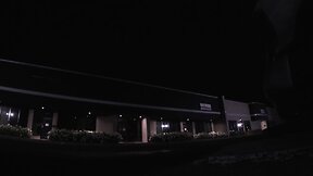 Exploring nature alone after dark