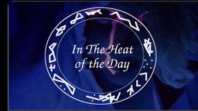 In the Heat of the Day