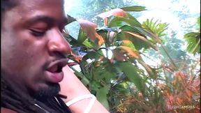 Tattooed sweetie takes a long black dick in her mouth and pussy