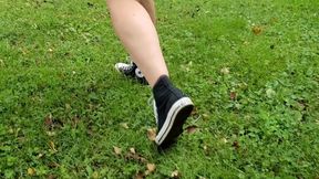 Walk to a beaver pond