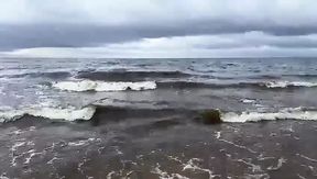 The_Dramma_Queen video