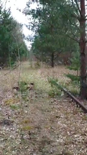 Epic moment from "Outdoor Jerking in public Berlin"