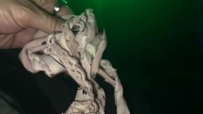 Freeuse Part 3 Ends in Creampie