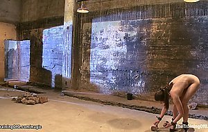 Trainee suck and fuck big black cock