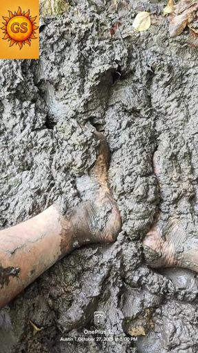 Barefoot Mud ASMR in the Forest Sensory Squish Nature Walk &amp; Grounding