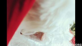angela white & lena paul caught santa emptied his balls