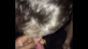 IMG 3268