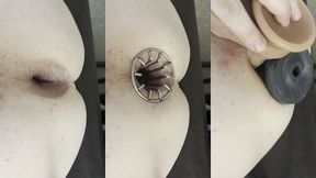 reneenicolecd - update #12 - you can always fit one more 4.1 inches new max stretch - feb 03, 2026