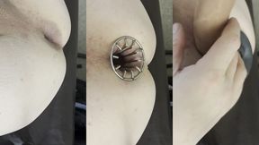 reneenicolecd - update #12 - you can always fit one more 4.1 inches new max stretch - feb 03, 2026