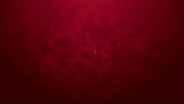 Lexistar - First rough DP 2on1 with piss