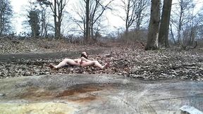 naked exhibition in forest