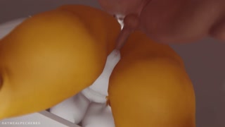 Furry Compilation: Renamon 2024 Vol 1