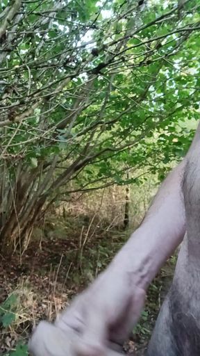 Quick wank in the woods