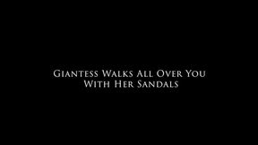 Giantess Walks All Over You With Her Sandals - Mari Merlowe WMV