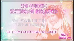 AUDIO ONLY - CEI quickie extension included enhanced audio