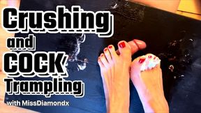 Crushing and Cock Trampling with MissDiamondx - HD Version