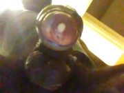 A Good Nut awhile ago..